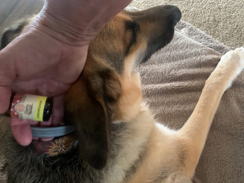 Customer photo review of Lemongrass Essential Oil 15mL