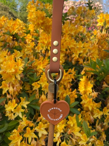 Customer photo review of Pawsome Poop Pocket - Orange