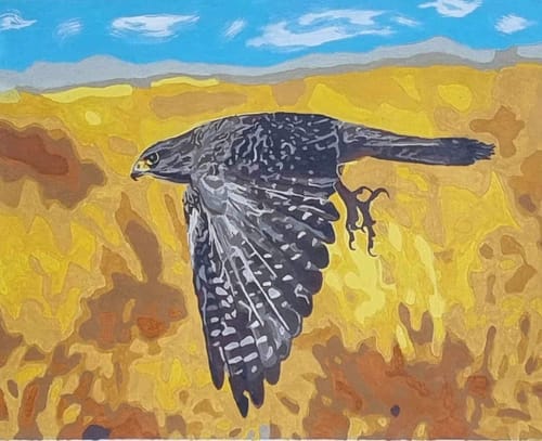 Customer photo review of The New Zealand Falcon