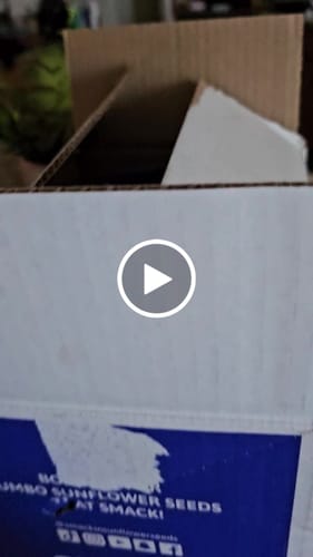 Customer video review of SMACKIN' Shipping Protection