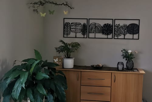 Customer photo review of Forêt de bonbon