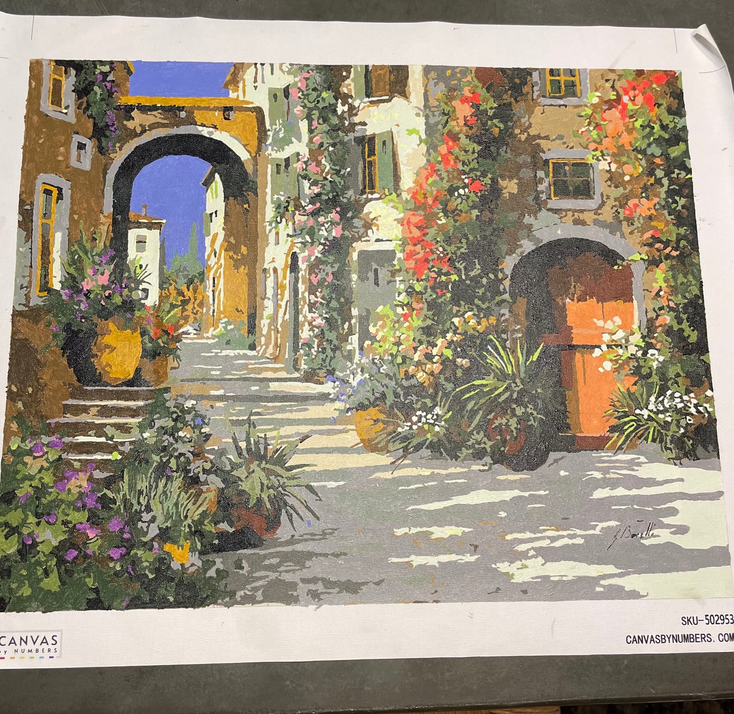 Customer photo review of La Porta Rossa sulla Salita - Paint by Numbers