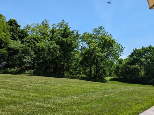 Customer photo review of GCI Turf N (Nitrogen) 20-0-0