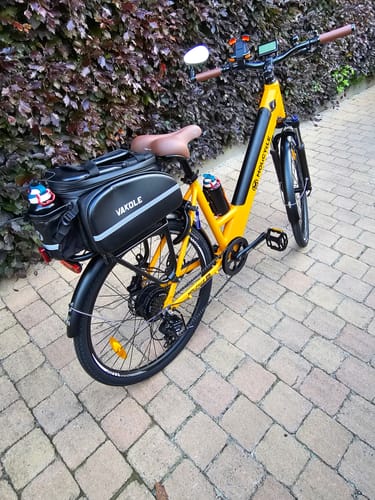 Customer photo review of Molicycle R1 250W 26" Electric Trekking Bike City E-bike 14.5Ah