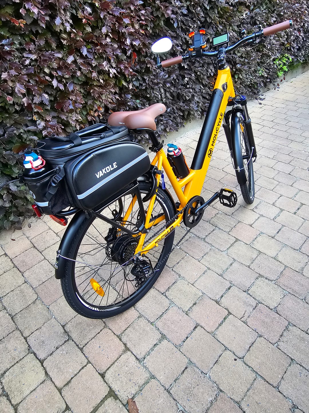 Customer photo review of Molicycle R1 250W 26" Electric Trekking Bike City E-bike 14.5Ah