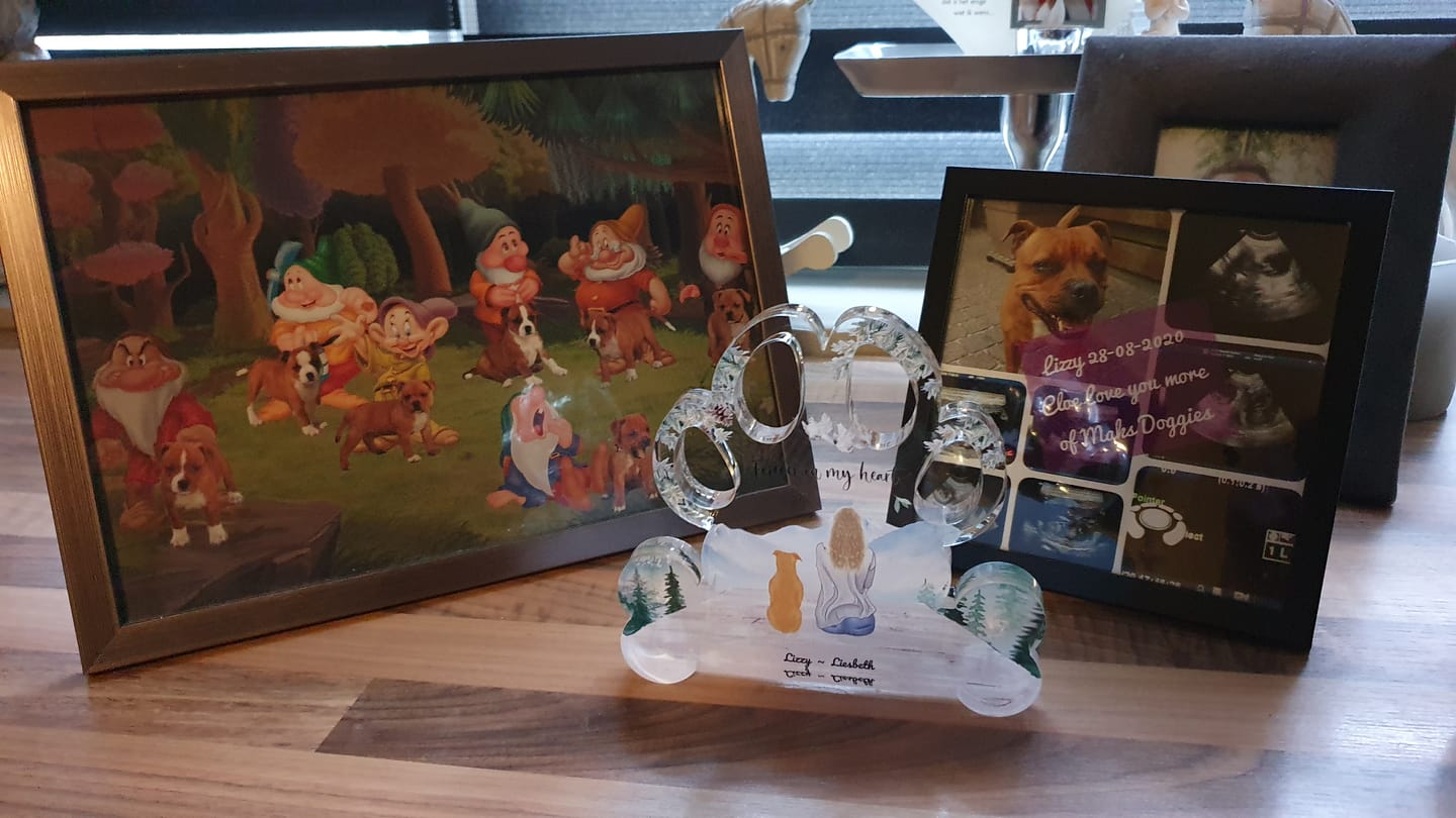 Customer photo review of Onderweg met huisdier - Gepersonaliseerde Potenacrylglas