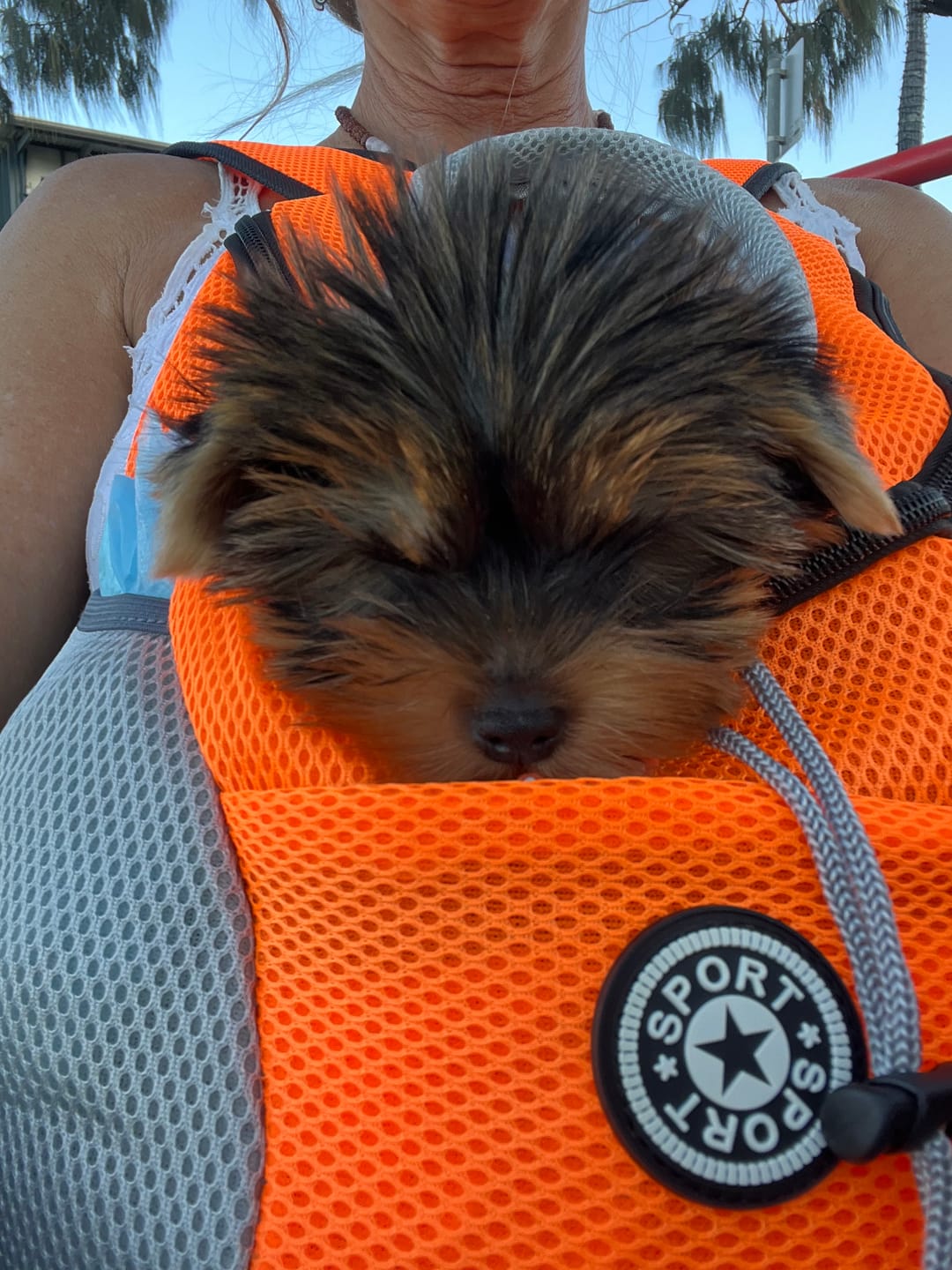 Customer photo review of Dog Backpack
