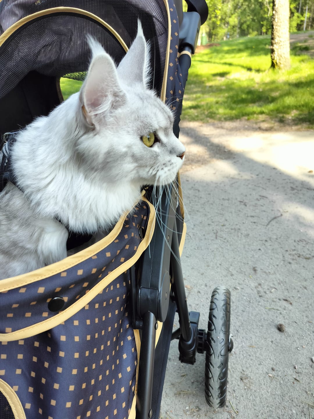 Customer photo review of Adventure lemmikkirattaat