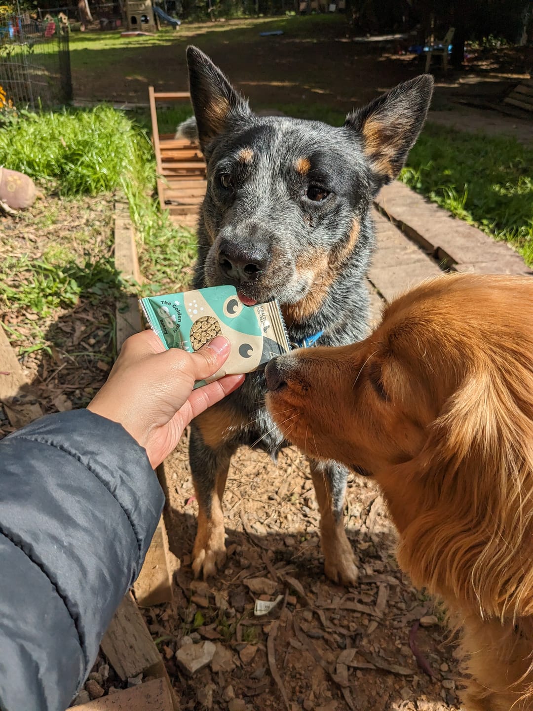Customer photo review of FREE Taste Testing Bundle