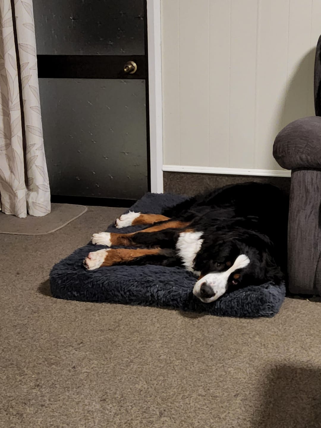Customer photo review of Brooklyn® Ultra Memory Foam Bed