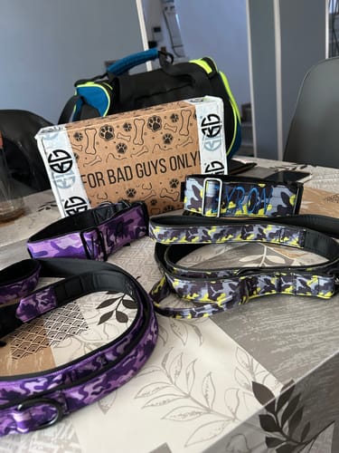Customer photo review of Guinzaglio Sniper 2.0