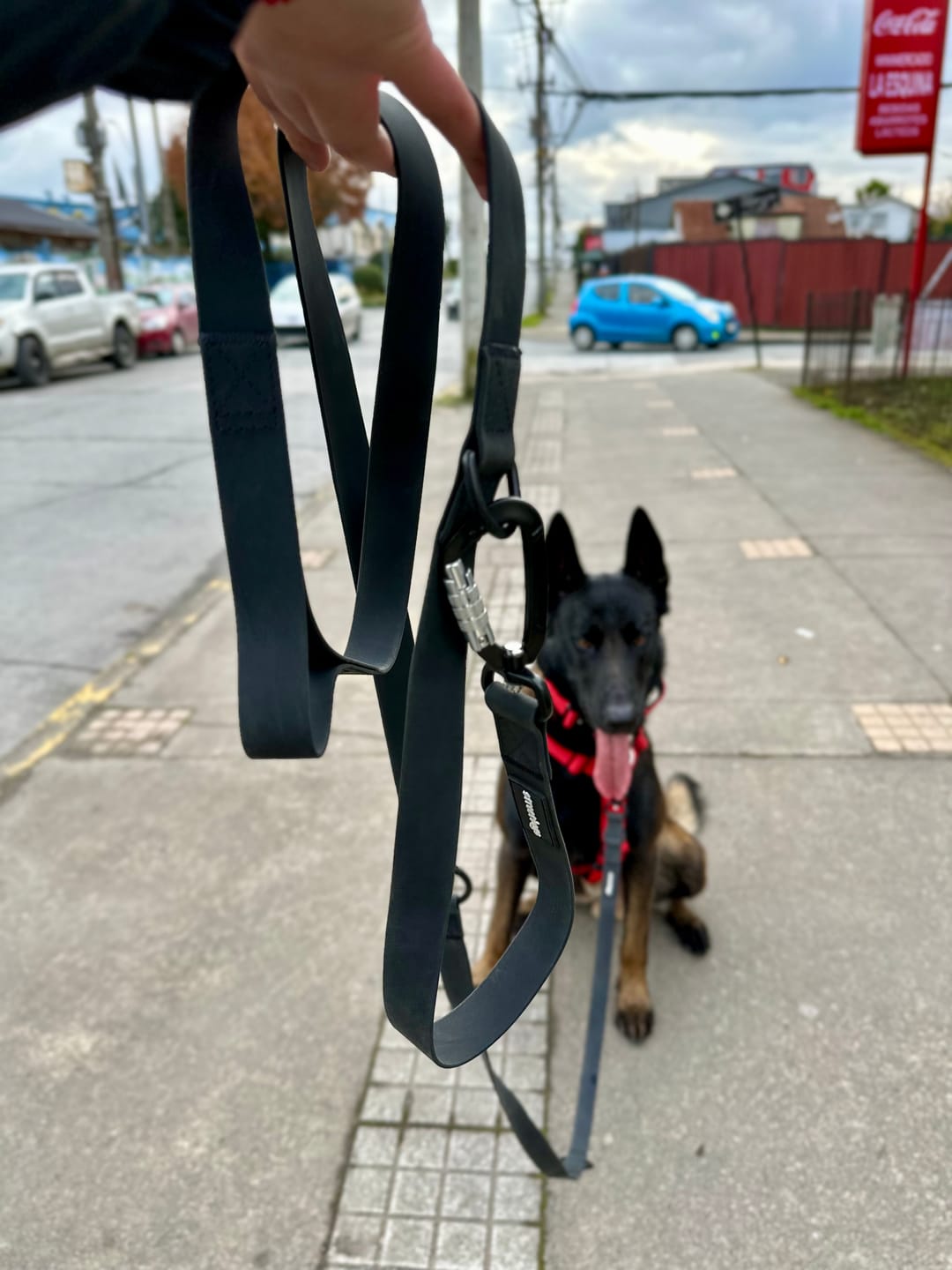 Customer photo review of Correa Multienganche para Perros - | PVC | 3 mts | Black