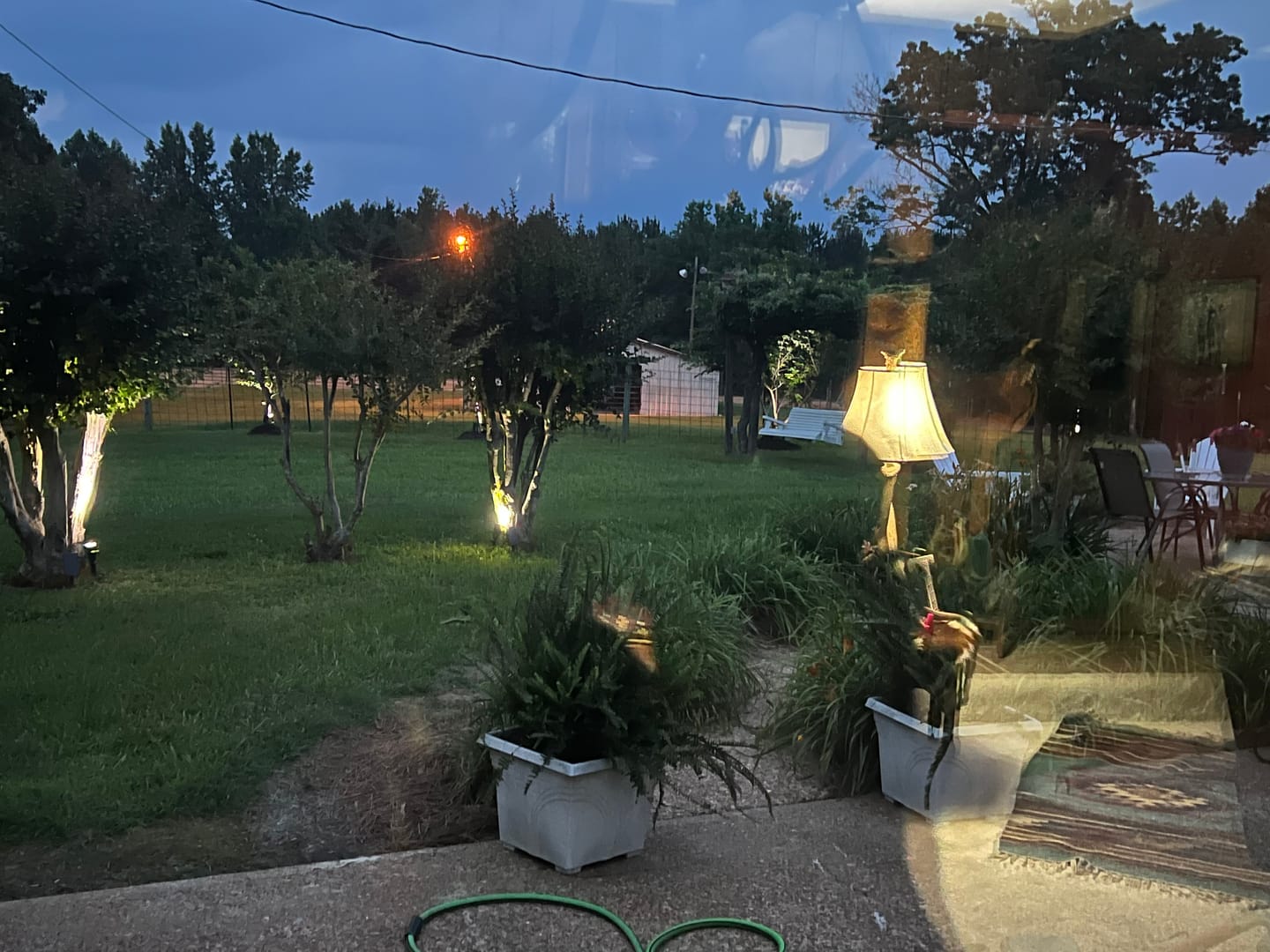 Customer photo review of TSUN Solar Spotlights For Trees Cool White