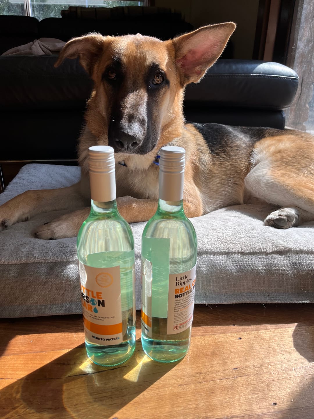 Customer photo review of PINOT GRIGIO WINE CLUB - 6 PACK