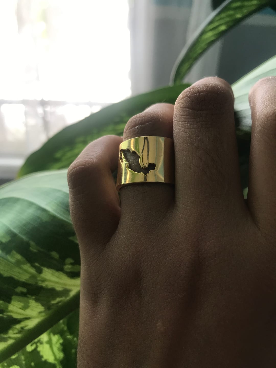 Customer photo review of Anillo México Querido