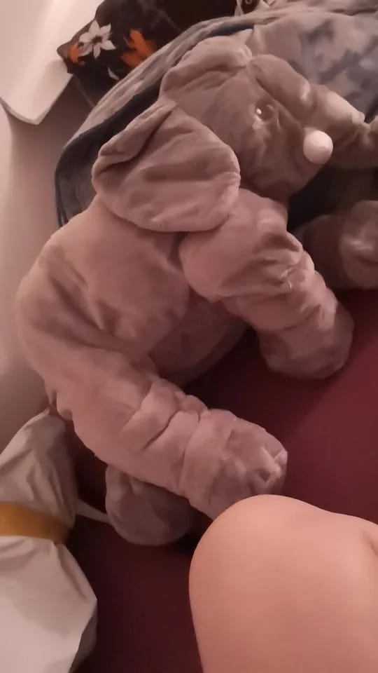 Customer photo review of Peluche Géante Éléphant Doux