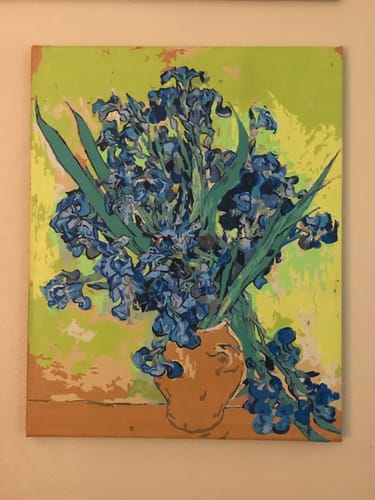 Customer photo review of Les Iris - Paint by Numbers