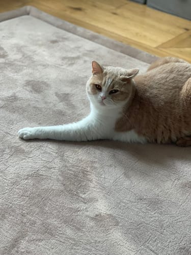 Customer photo review of Coffee