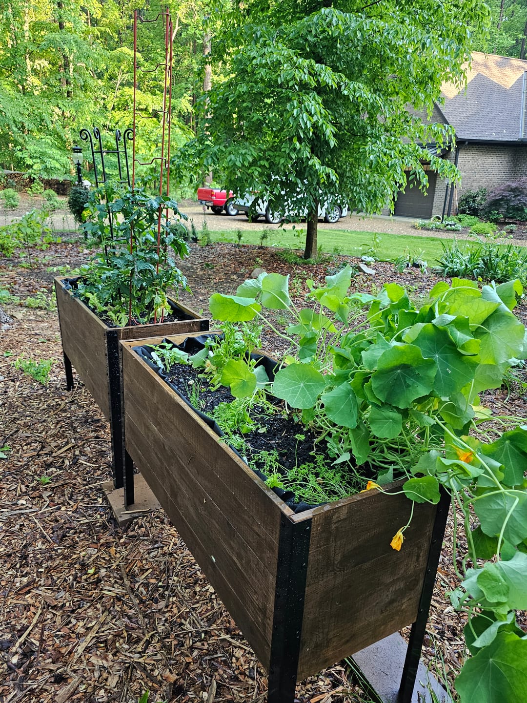 Customer photo review of Greenhouse Cover