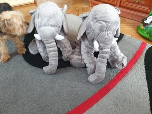 Customer photo review of Peluche Géante Éléphant Doux