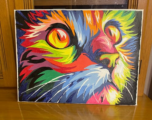 Customer photo review of Abstract Bundle II
