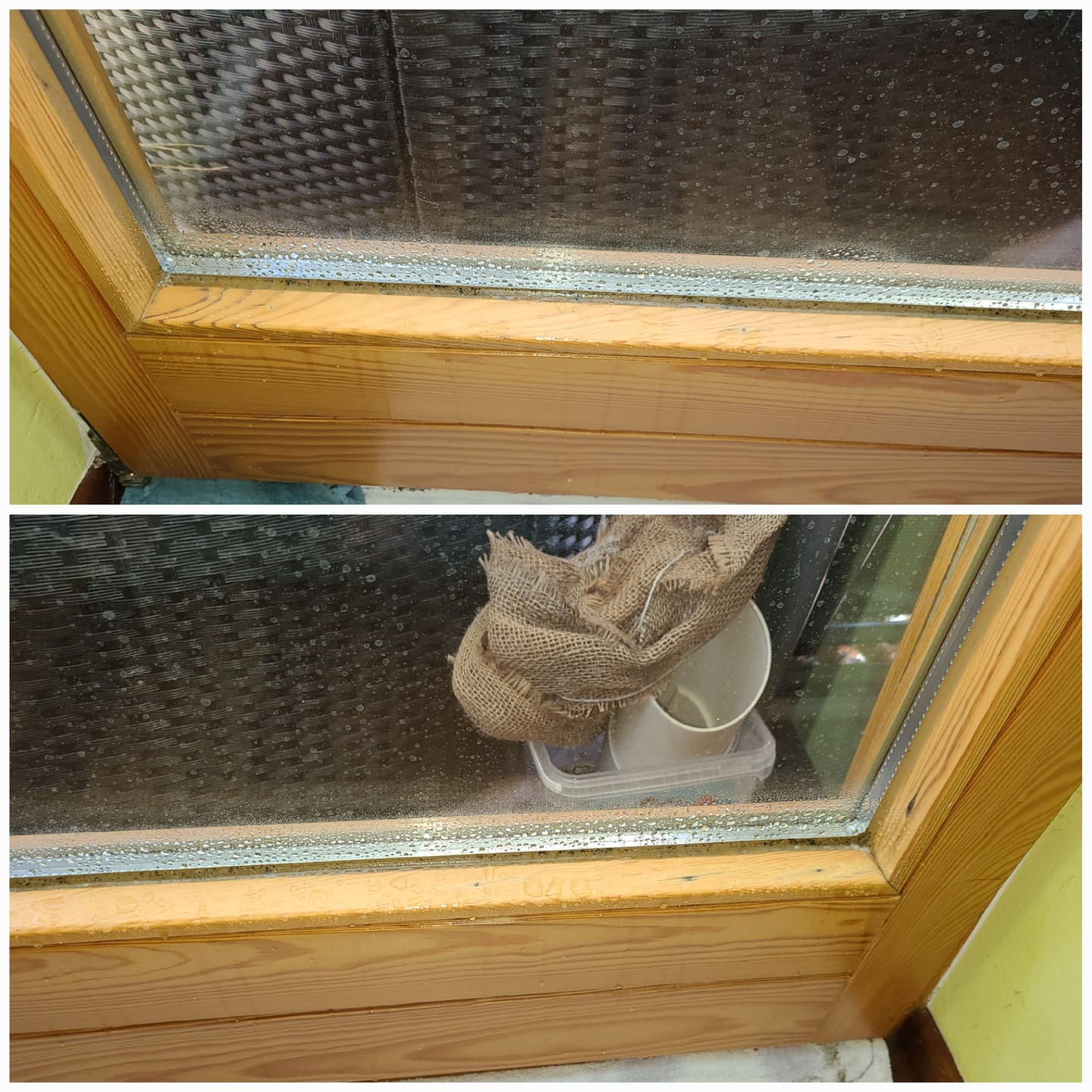Customer photo review of Fungex Home