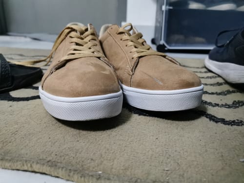 Customer photo review of Sitar Camel