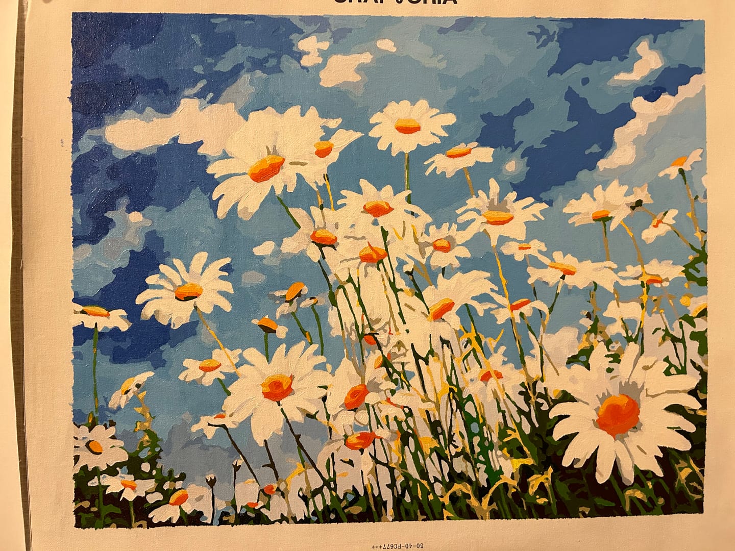 Customer photo review of Sky Dance