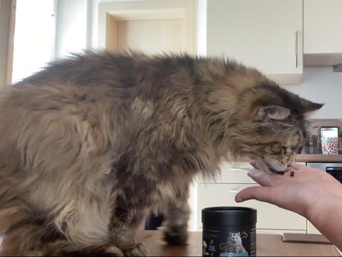 Customer photo review of Gelenk Gummies