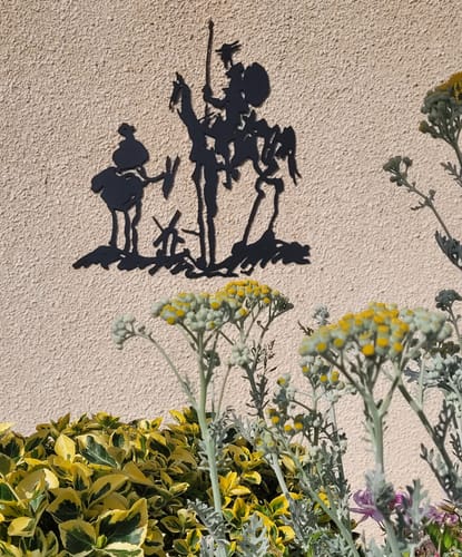 Customer photo review of Picasso Don Quichotte