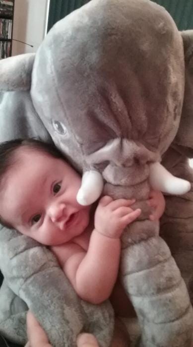 Customer photo review of Peluche Géante Éléphant Doux