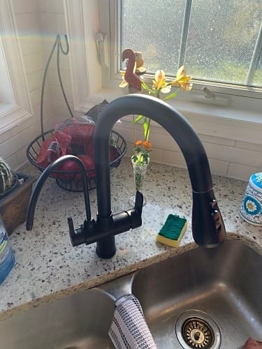 Customer photo review of Karlstad - Three Ways Kitchen Faucet with Filter Tap & Pull-Out Spout for Kitchen Sink
