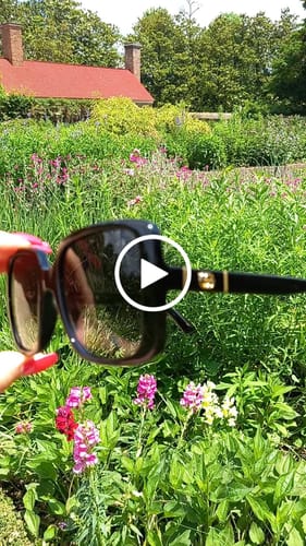 Customer video review of GUCCI - GG0632S OCCHIALI DA SOLE PROMO