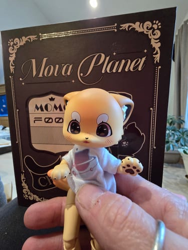 Customer photo review of Mova Planet Fox Series Action Figure - Body Doll (With Head)