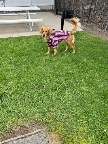 Customer photo review of Playa Poncho - Surprise Color