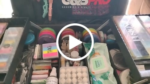 Customer video review of Full Size Backpack