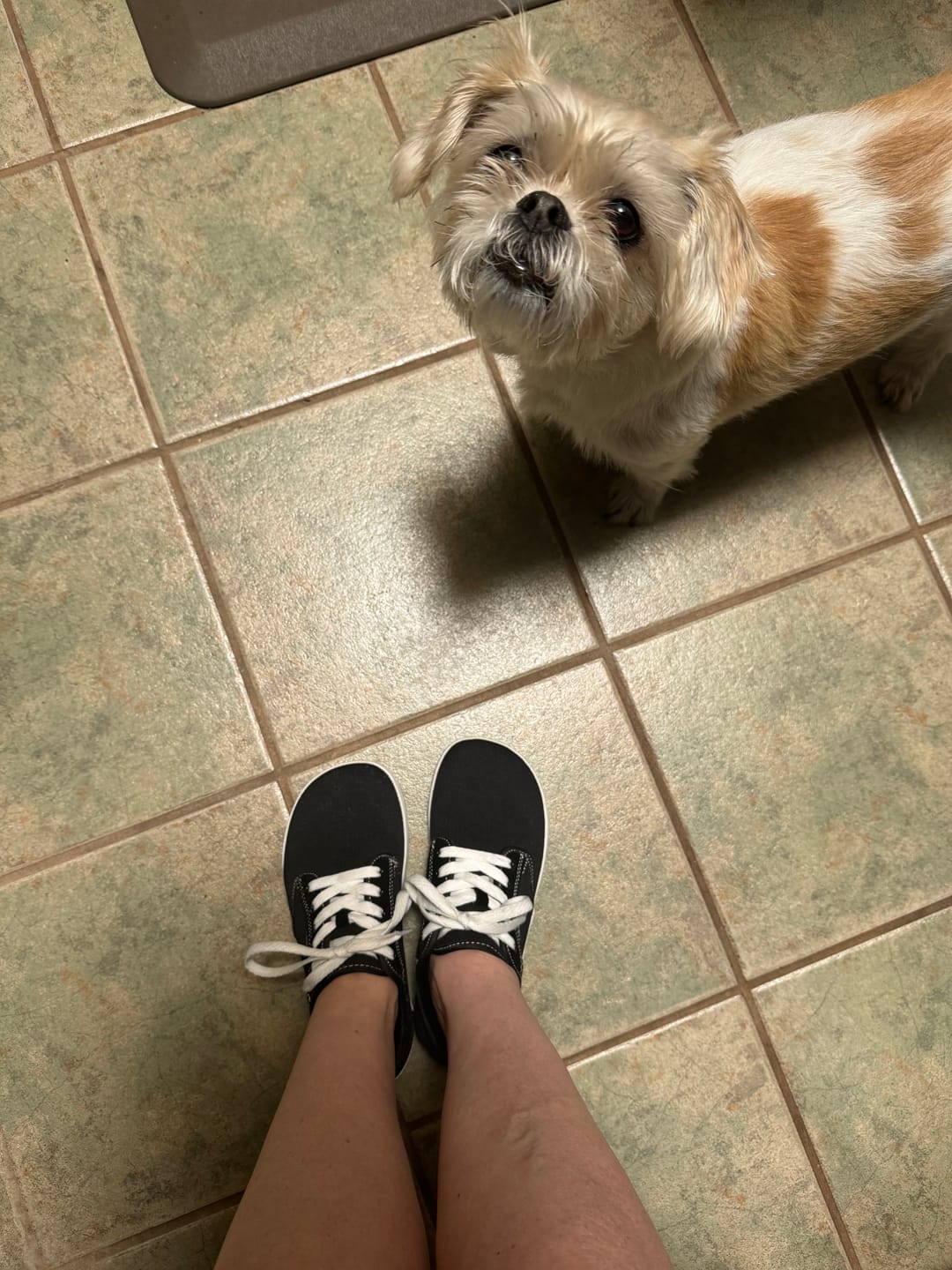 Customer photo review of Sage - Barefoot Shoes