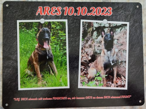 Customer photo review of Hunde-Türschild personalisiert mit Foto & Text (UV- und wetterfest)