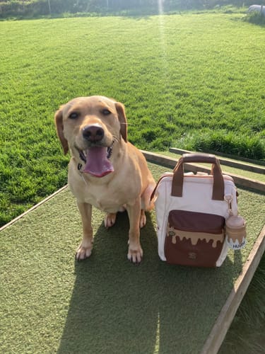 Customer photo review of Treat Pouch - Hunny Pot