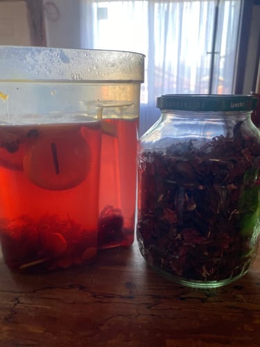 Customer photo review of Rosa Jamaica / Hibisco