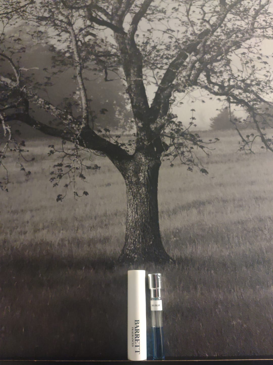 Customer photo review of Big Blue Inspired by BDC Parfum