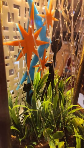 Customer photo review of Atomic House Plant Decoration - Boomerang & Stars