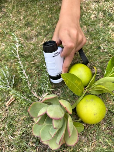 Customer photo review of The WonderScope