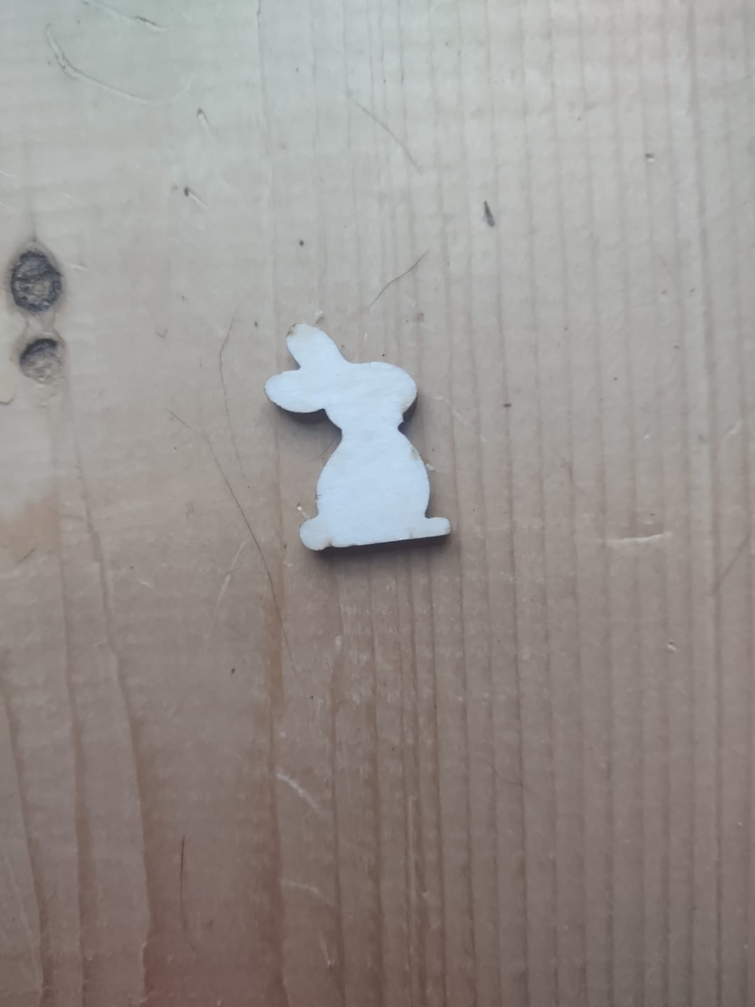 Customer photo review of Unfinished Wood Easter Bunny Shape - Craft - up to 36" DIY