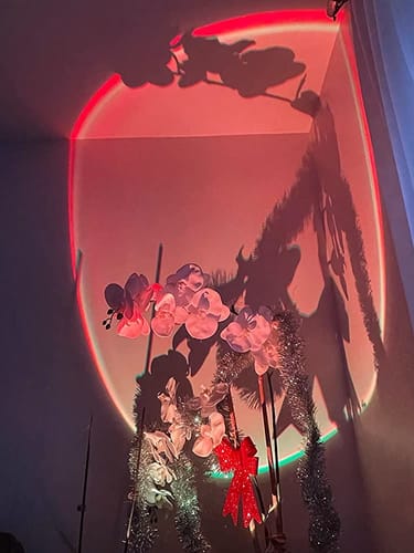 Müşteri fotoğrafı 6