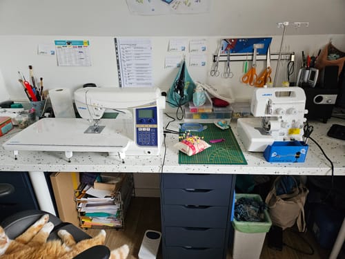 Valérie P. review of JUKI HZL-DX7 image 1 out of 5