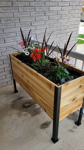 Customer photo review of Winter Covers for 30" Tall Raised Garden Beds