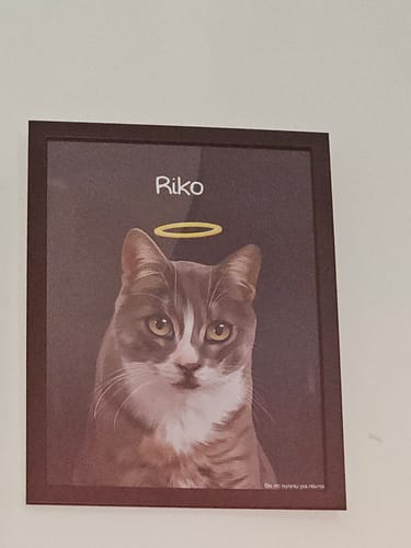 Customer photo review of Πορτραίτο Κατοικίδιου - In Memory