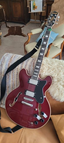 Customer photo review of Donner DJP-1000 Jazz-E-Gitarre