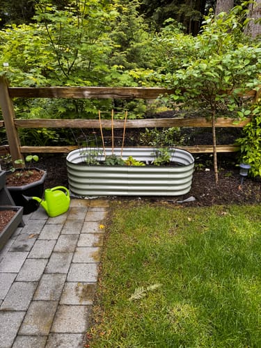 Customer photo review of The Backyard Bag